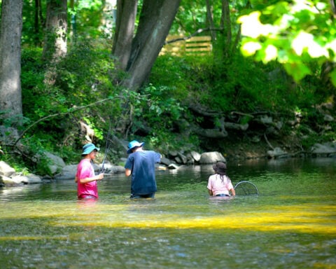 Microplastics are everywhere in Pennsylvania’s water – but the tide may be turning