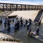 Colorado Parks and Wildlife salvages over 1,000 trout as Denver Water drains reservoir