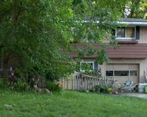 Pet boarding business where 21 animals died in fire operated illegally, official says