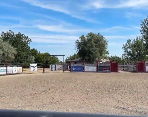 Parma Inferno bull briefly escapes arena, draws reactions from spectators