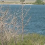 Aurora reservoir water levels only 55% full; Colorado city's storage is well below average