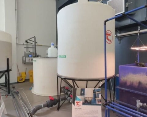 Colorado's first rainwater harvesting pilot moves to water court, researchers look to the practice amid drought