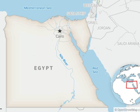 Former Egyptian doctor arrested after alleging abuses at hospital is released on bail, lawyer says