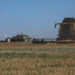 Russian attacks could cut Ukraine grain exports by a third
