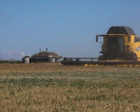 Russian attacks could cut Ukraine grain exports by a third