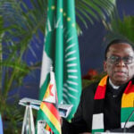 Zimbabwe's 'Crocodile' leader makes another move to consolidate power