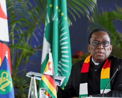 Zimbabwe's 'Crocodile' leader makes another move to consolidate power