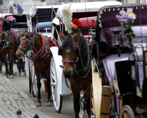 New York mayor, other leaders push to end horse carriage industry after Indian teen's death