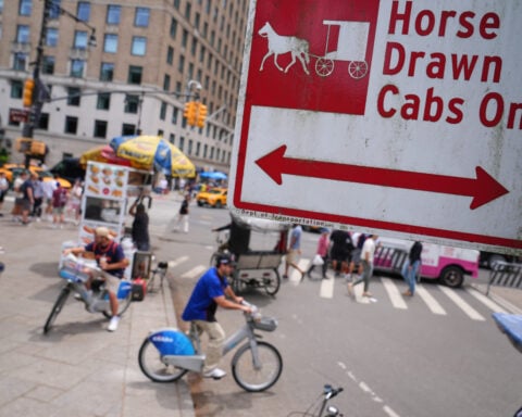 New York mayor, other leaders push to ban horse-drawn carriage rides after Indian teen's death