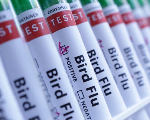 Australia, last continent without H5 bird flu, detects first suspected case