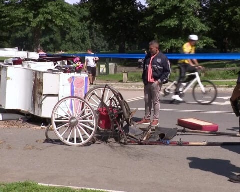 NYC Council will consider horse carriage ban after tourist's death in Central Park