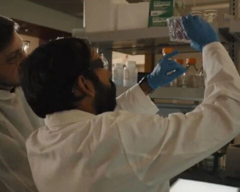 Louisiana researchers turn to psychedelics to combat pervasive Caddo Parish meth crisis
