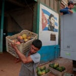 Cuba pushes through sweeping free-market reforms in biggest economic shift since the revolution