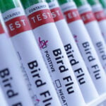 Australia confirms first case of H5 bird flu