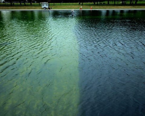 Trump claims Reflecting Pool was vandalized and says law enforcement is investigating