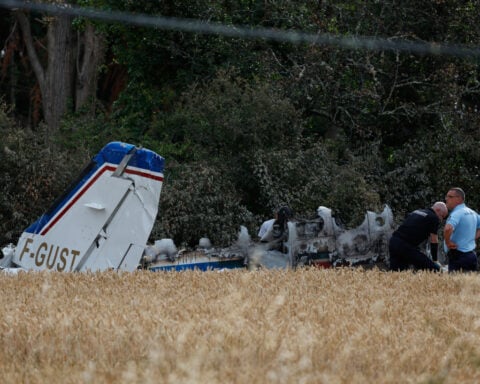 A founder of Assassin's Creed maker Ubisoft killed in a plane crash in western France