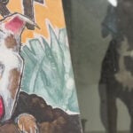 Storytime helps kids build confidence, gives shelter pets extra love