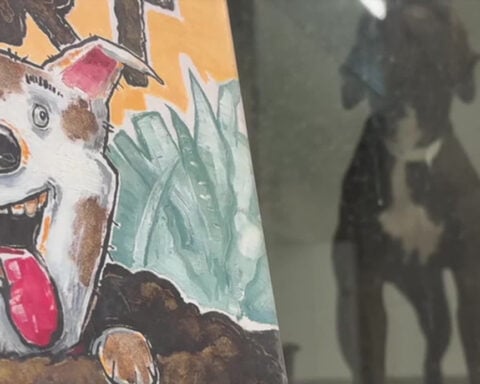 Storytime helps kids build confidence, gives shelter pets extra love