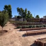 Nonprofit farm donates 100% of its harvest to fight food insecurity in the Valley