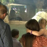 John Ball Zoo gives grieving family free season to honor late mom's wish