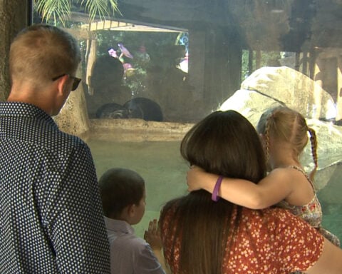 John Ball Zoo gives grieving family free season to honor late mom's wish