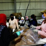 Syria has made no progress on Sweida reintegration plan, UN says