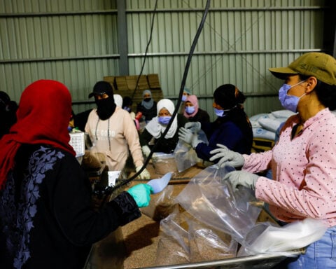 Syria has made no progress on Sweida reintegration plan, UN says