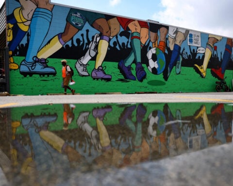 Soccer-Local World Cup fans wave many flags in multicultural Houston