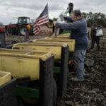 How everyone pays the cost for patents on seeds, and private companies get rich from keeping them secret