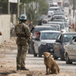 UN resolution urges accountability for attacks on peacekeepers