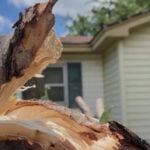 Family says downed tree narrowly missed 18-month-old’s window in overnight storm