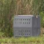 Police warn of hog running loose through town