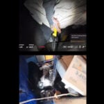 Sheriff’s video shows drone being used to retrieve man’s knife during a standoff