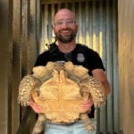 Beloved tortoise reportedly stolen from shop now home safe