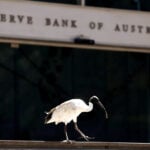 Australia's central bank still has work to do to reduce inflation, deputy governor says