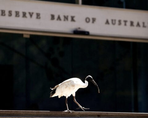 Australia's central bank still has work to do to reduce inflation, deputy governor says