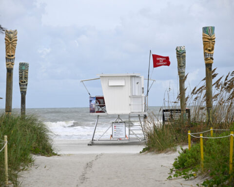 When a rip current sucks you out to sea, try not to panic