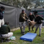 Argentina to return two rare maned wolves to the wild