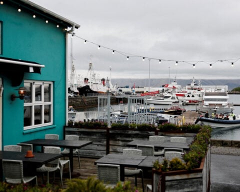 EU membership not the answer for Iceland, opposition leader says