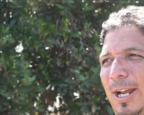 Snake rescuer pleads for return of 4 pythons stolen near Oceanside Pier