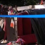 Parents of tourist killed in Central Park carriage horse crash speak out