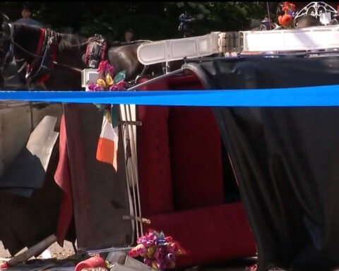 Parents of tourist killed in Central Park carriage horse crash speak out