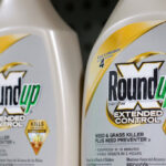 US Supreme Court scales back Roundup cancer lawsuits