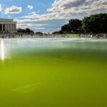 Park Service will drain, repair Reflecting Pool after July Fourth, court filing says