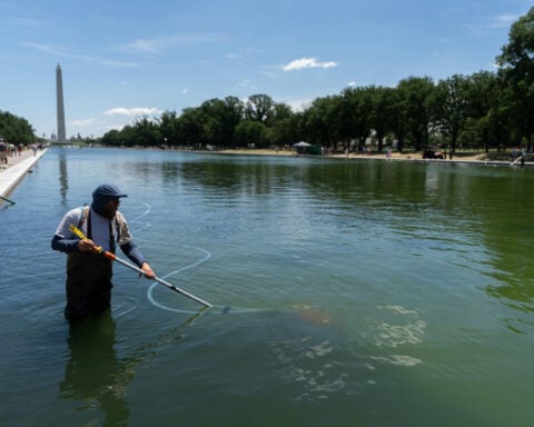 When your local reflecting pool or pond turns green with algae, don’t reach for chemicals – nature has better solutions