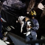 The 2 earthquakes that struck Venezuela are known as a 'doublet.' Here's how they happen