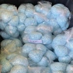 DEA asks watchdog to investigate claims that agents permitted fentanyl to hit the streets