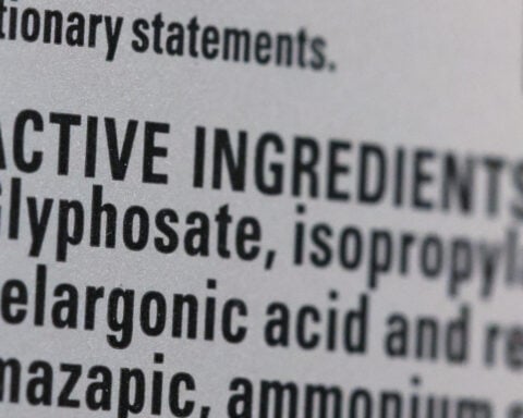 What does Bayer's US Supreme Court win mean for the thousands of Roundup lawsuits?
