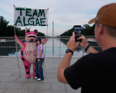 Reflecting Pool liner was cut with a sharp knife or razor, National Park Service says