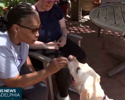 How dogs are helping aphasia patients improve their ability to speak: "This is the best thing ever"